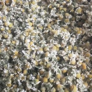 Chamomile dry flowers